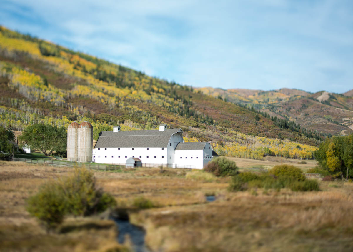 McPolin Farm